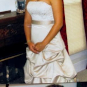 -Formal Victorian Dress for Wedding, Prom, or even a costume!  Excellent Cond!